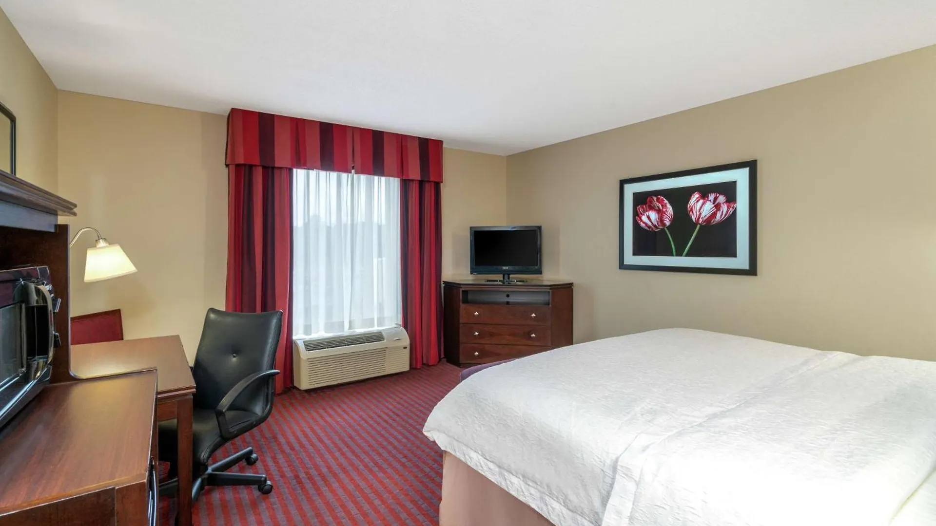 *** Отель Hampton Inn Richmond - Airport Сандстон США