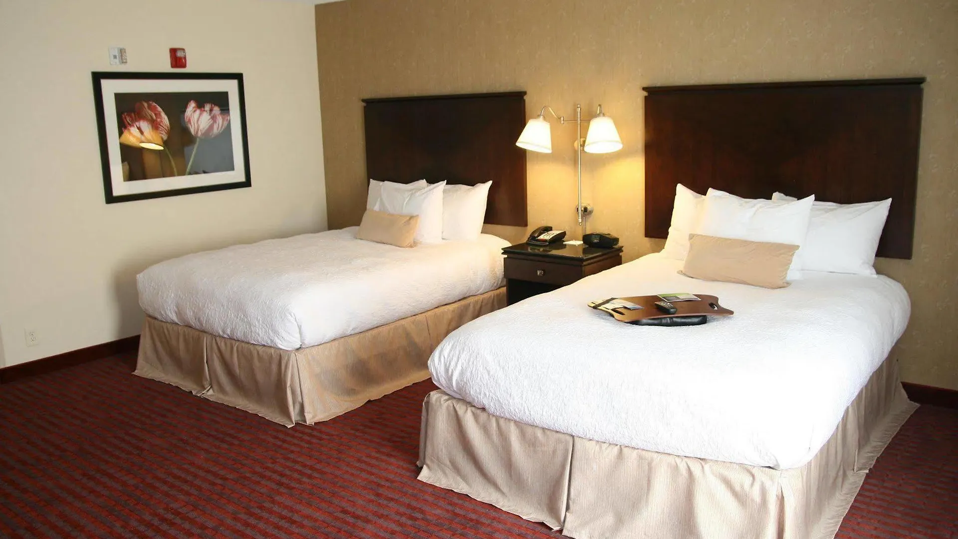 Hampton Inn Richmond - Airport Сандстон 3*,  США